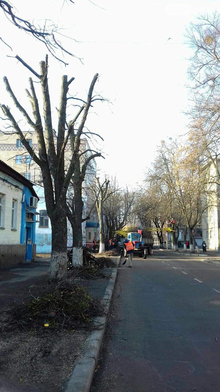 КРОНУВАТИ НЕ МОЖНА ЗАЛИШИТИ, фото-1 КРОНУВАТИ НЕ МОЖНА ЗАЛИШИТИ, фото-1