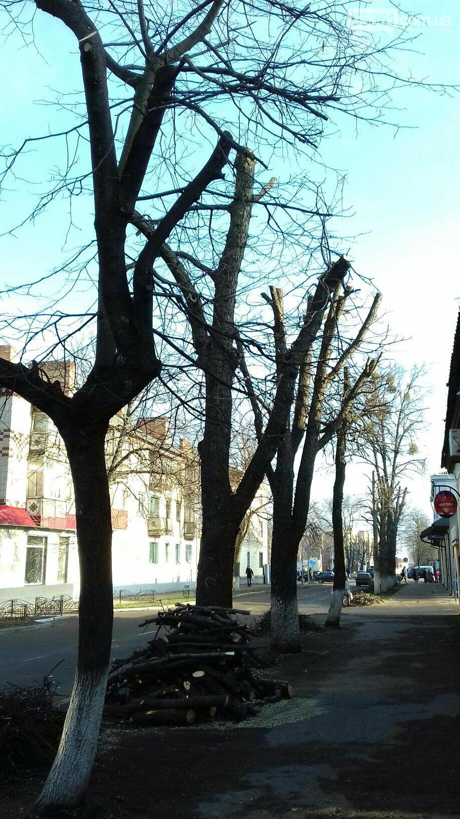 КРОНУВАТИ НЕ МОЖНА ЗАЛИШИТИ, фото-4 КРОНУВАТИ НЕ МОЖНА ЗАЛИШИТИ, фото-4