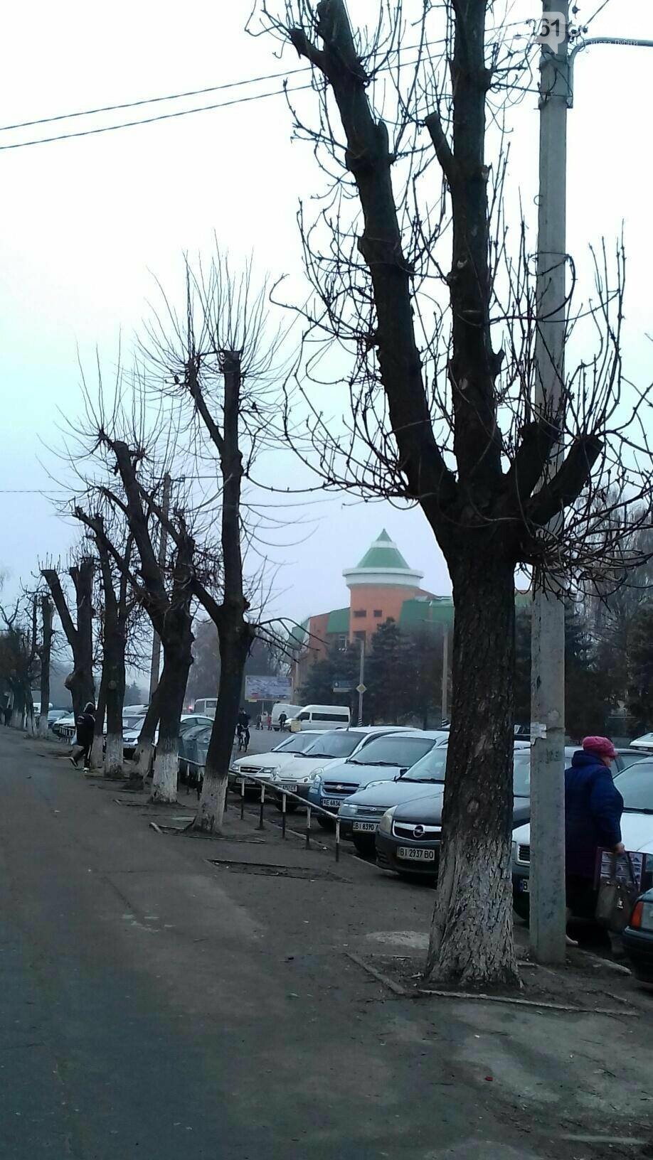 КРОНУВАТИ НЕ МОЖНА ЗАЛИШИТИ, фото-2 КРОНУВАТИ НЕ МОЖНА ЗАЛИШИТИ, фото-2