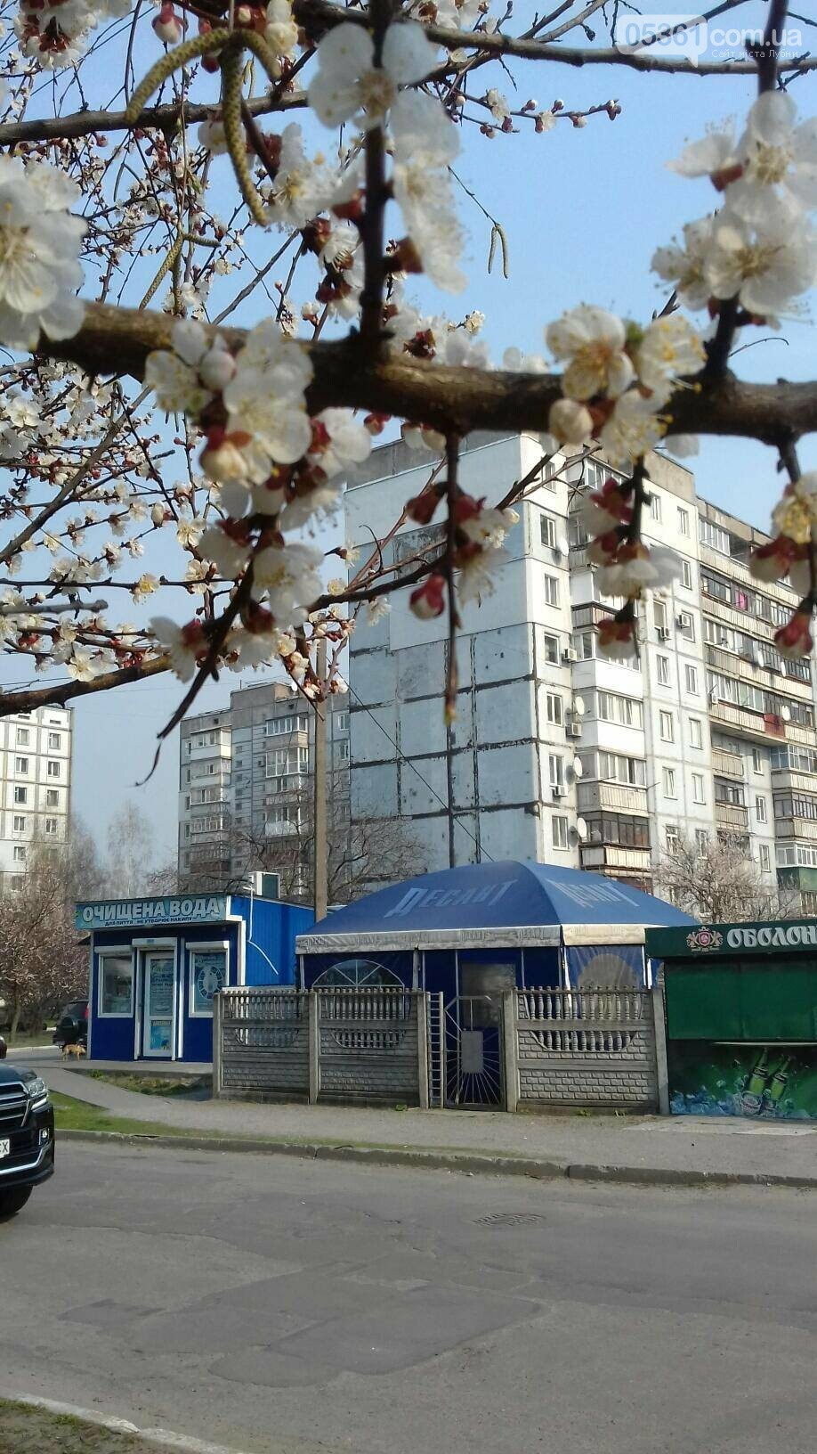 Лубенські простори , фото-5 Лубенські простори , фото-5
