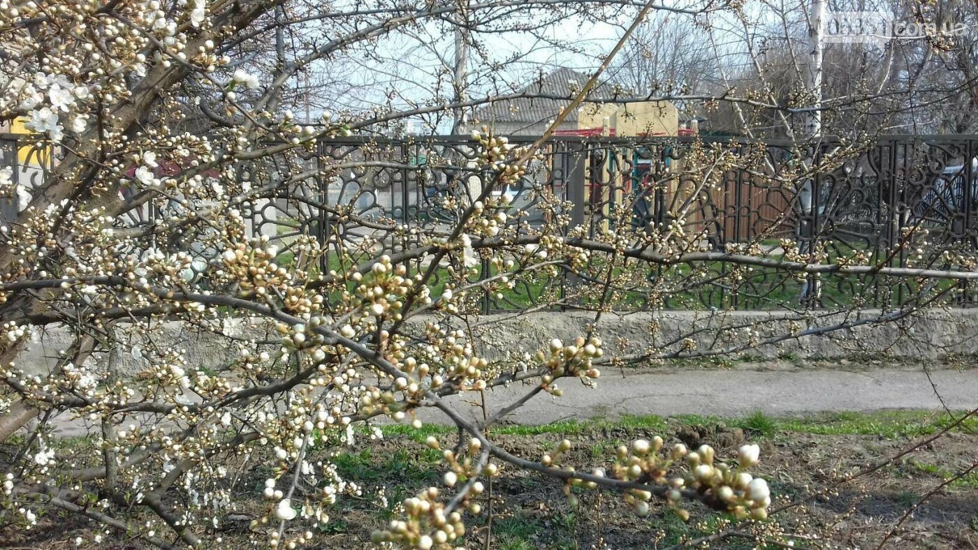 Лубенські простори , фото-6 Лубенські простори , фото-6