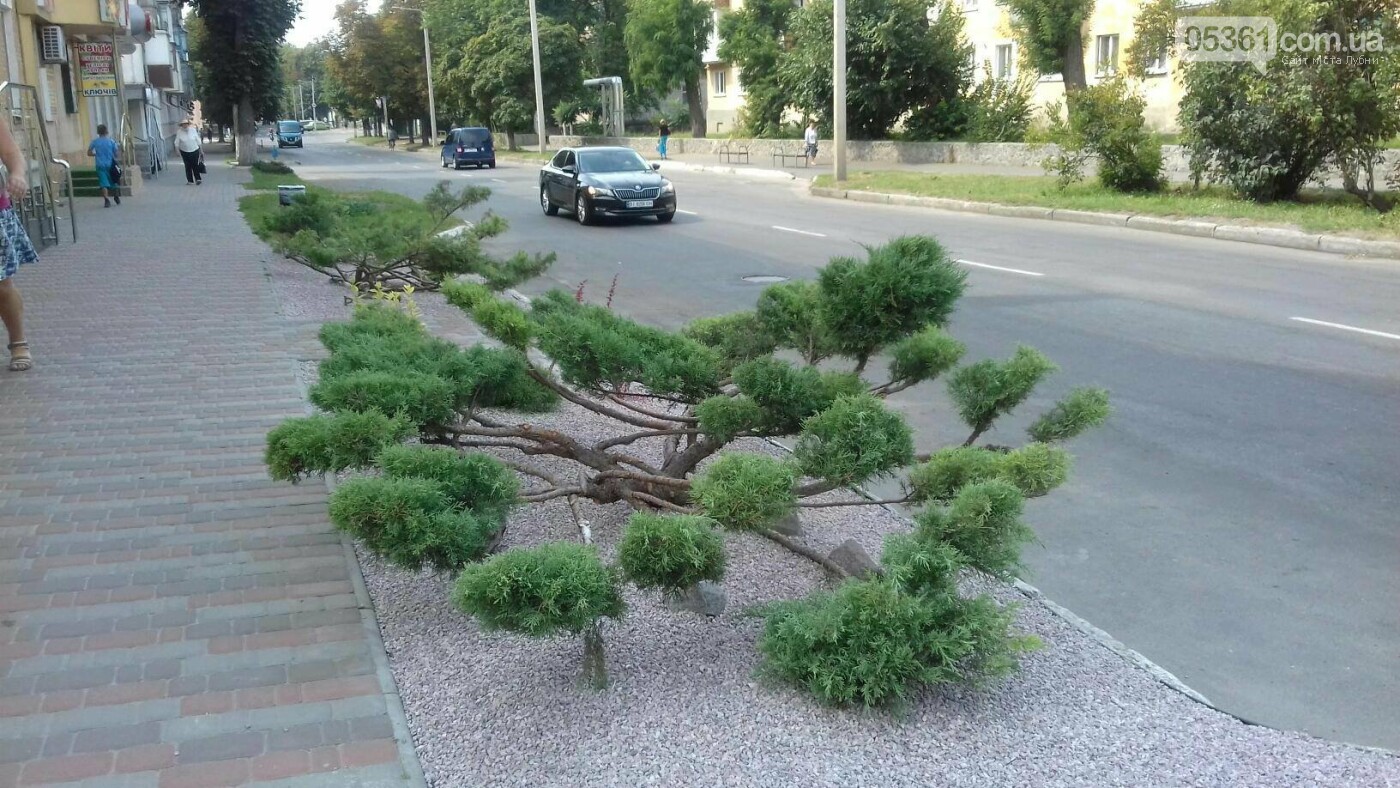 Лубни - місто контрастів , фото-18 Лубни - місто контрастів , фото-18