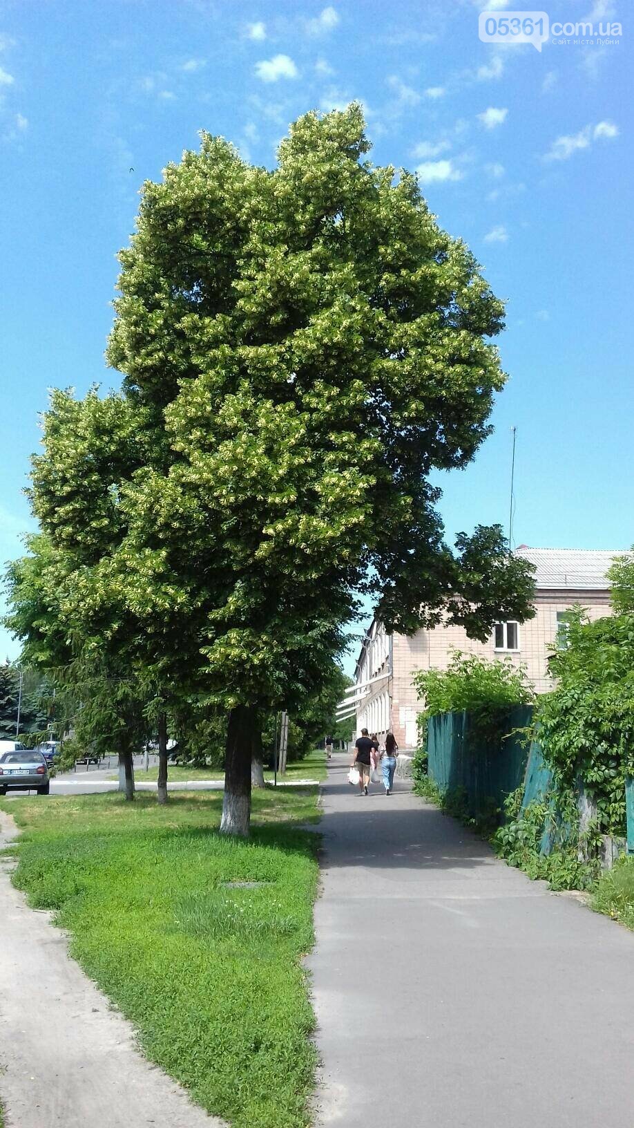 Лубни - місто контрастів , фото-8 Лубни - місто контрастів , фото-8