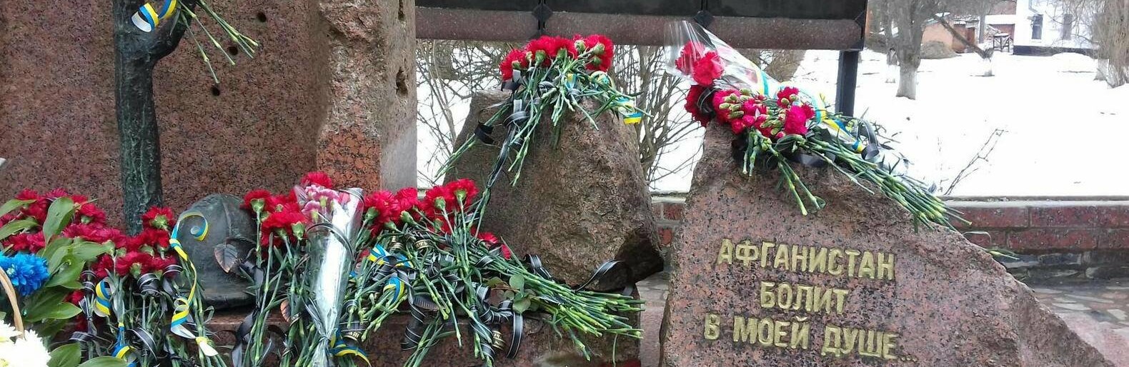Афганістан болить в моїй душі Афганістан болить в моїй душі, 05361.com.ua