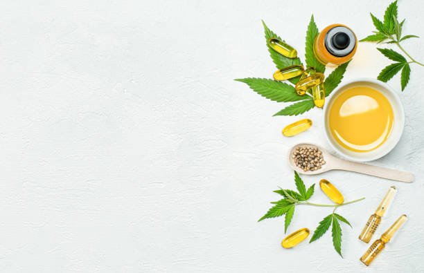 Конопляне насіння від Hohland Seeds